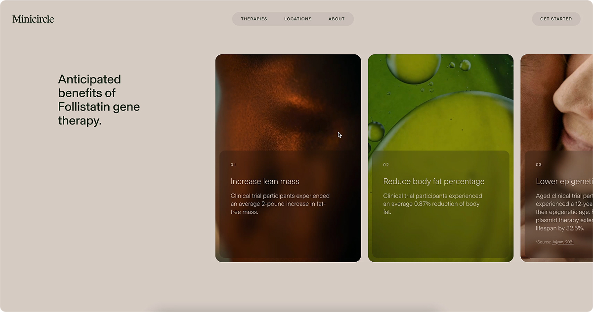 minicircle-website-screenshot-2